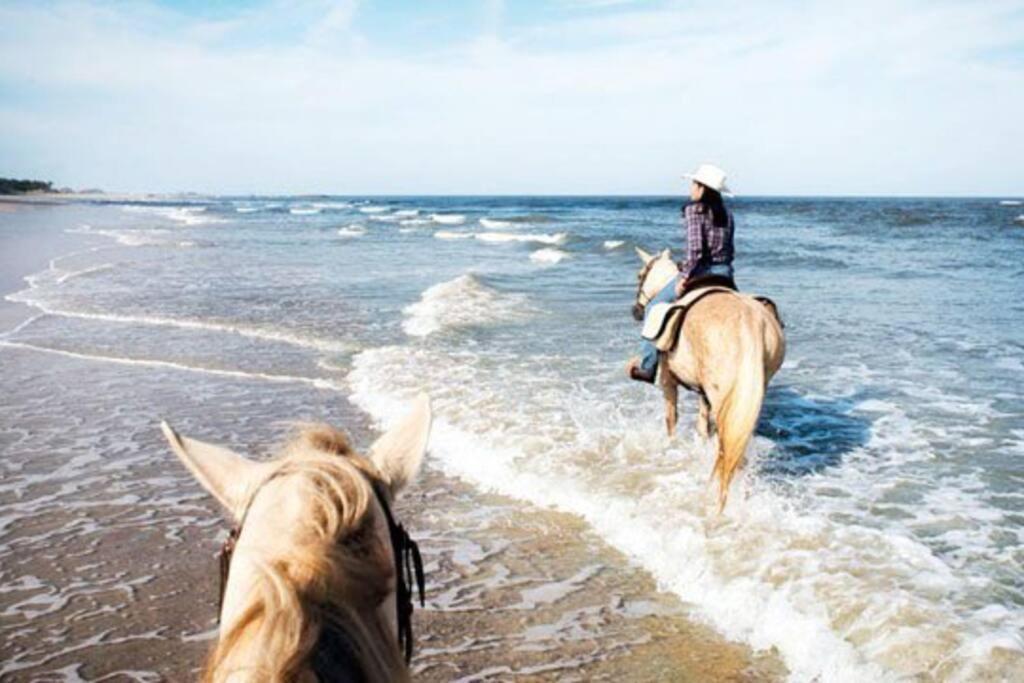 Amelia Island Oceanfront Condo Đảo Amelia Ngoại thất bức ảnh