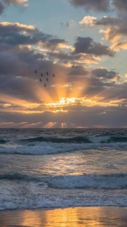 Amelia Island Oceanfront Condo Đảo Amelia Ngoại thất bức ảnh